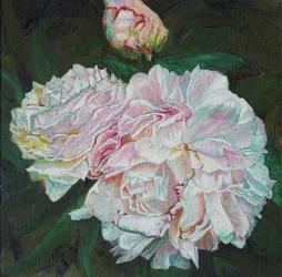 Erste Blüten, 2012